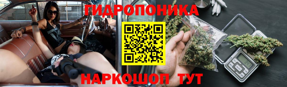 Марихуана тримм  Вход с VPN  Новомосковск  Конопля White Widow 